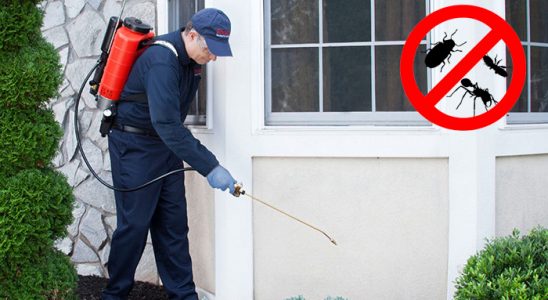 Dalaman Bit İlaçlama böcek ilaçlama ve haşere kontrolü — ilaclama-tr.com